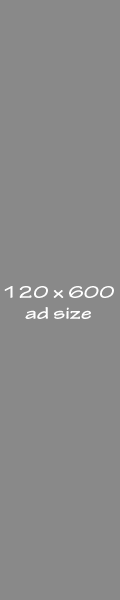 120x600-ad-size
