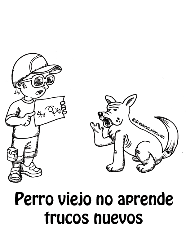 Refranes Puerto Rico Spanish Slang Perro viejo no aprende trucos nuevos
