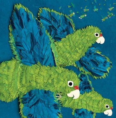 latino childrens books parrots over puerto rico