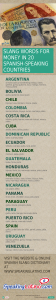 Spanish Slang Words for Money Infographic