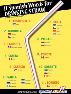 Spanish Words for Drinking Straw Infographic