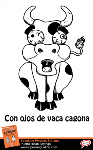 CON OJOS DE VACA CAGONA: Idiomatic Spanish Slang Expression