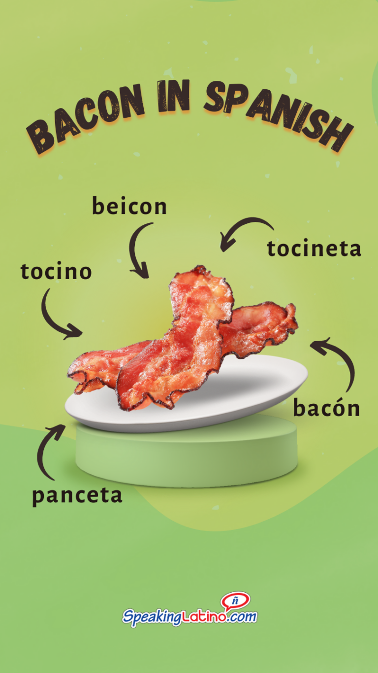 How to say BACON in Spanish