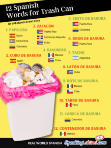 Spanish Words for Trash Can Infographic