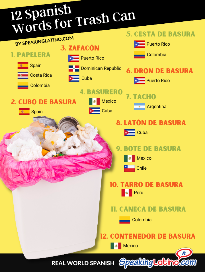 Spanish Words for Trash Can Infographic