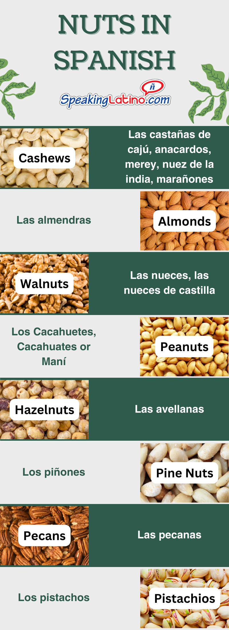 Infographic on the many words for nuts in Spanish